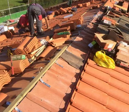 reparar tejados de teja en guecho